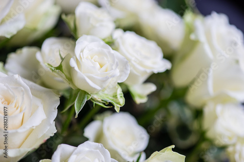 White roses in bouquet