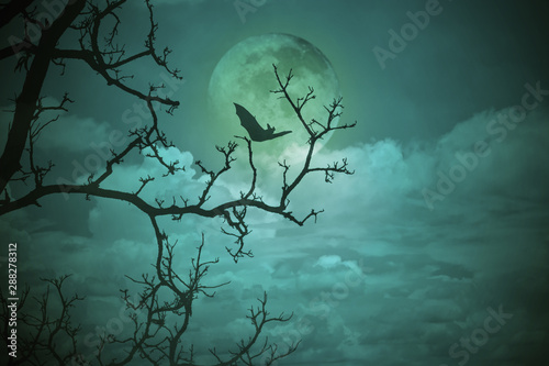 Halloween concept  Spooky forest with full moon and dead trees  dark horror background.