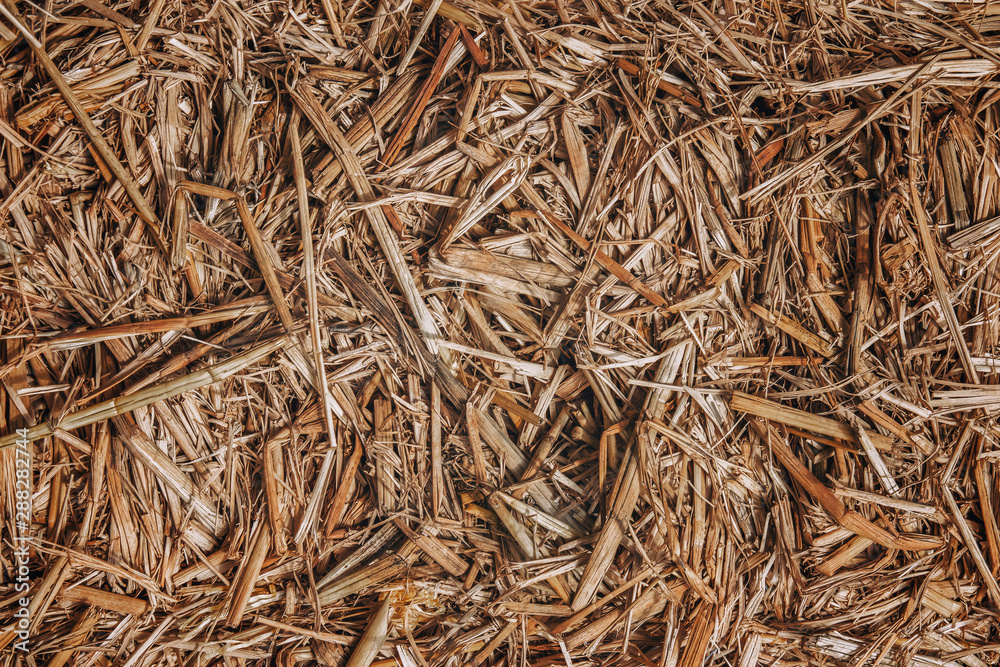 Straw texture background