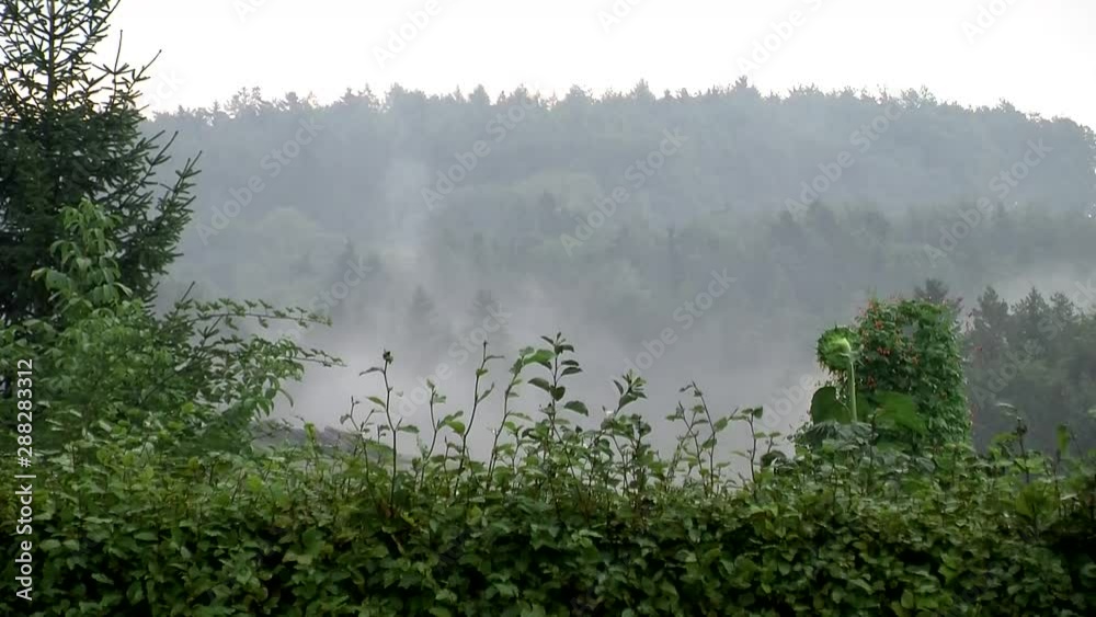 Regen und ziehende Nebelschwaden Regen und ziehende Nebelschwaden