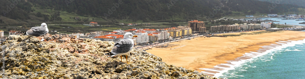 View on Atlantic ocean beach in Nazare resort town, Portugal