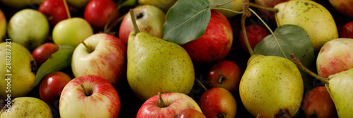 Background from ripe juicy pears and apples for your design. Close-up. Harvest.