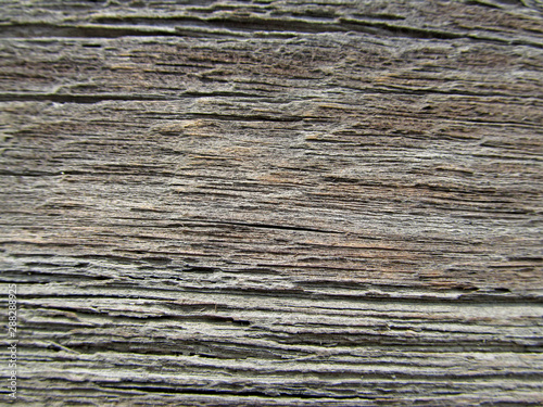 Wood texture background surface old natural pattern. Blank for design.