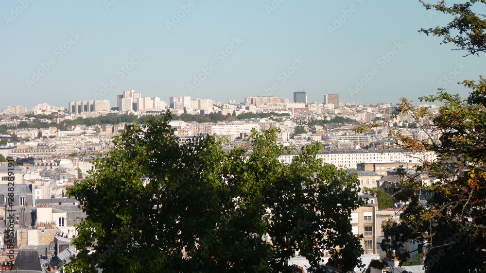 Fototapeta premium Some trees in montmartre with a large view of Paris