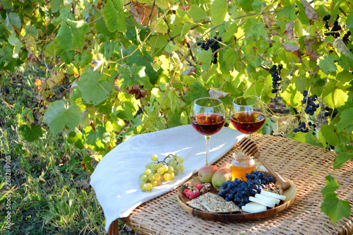 Autumn picnic in the garden Wine glasses and wine snacks on a wicker table outdoor Lunch in nature