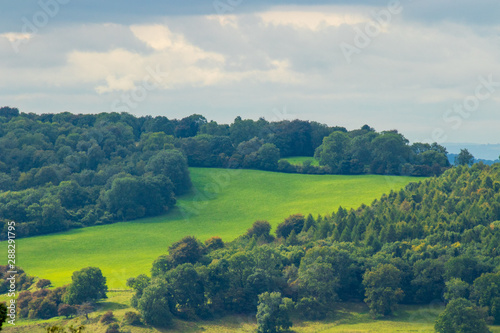 Fototapeta Naklejka Na Ścianę i Meble -  rural landscape with wheat field and blue sky