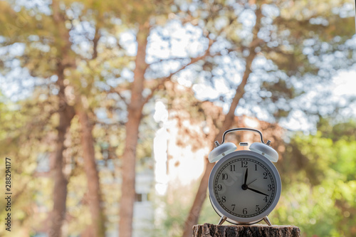 white vintage alarm clock on trees background