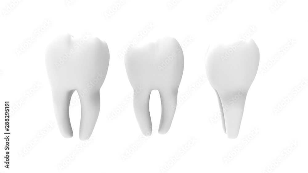 3d rendering of a tooth molar isolated in white background 3d rendering of a tooth molar isolated in white background