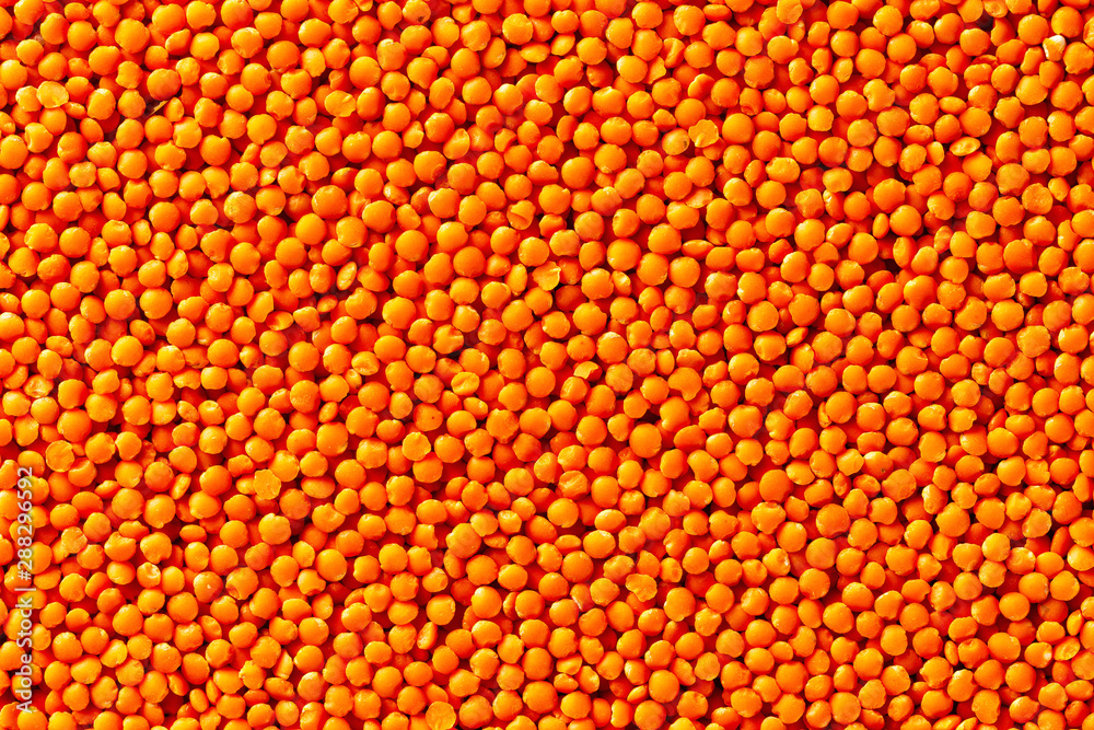 Macro flatlay image of red lentil beans background. Concept of healthy vegan lifestyle