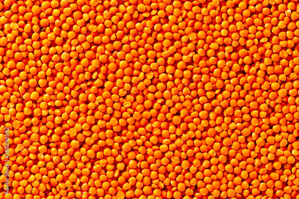 Macro flatlay image of red lentil beans background. Concept of healthy vegan lifestyle Macro flatlay image of red lentil beans background. Concept of healthy vegan lifestyle