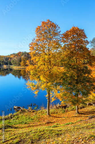 View of a lake in the fall
