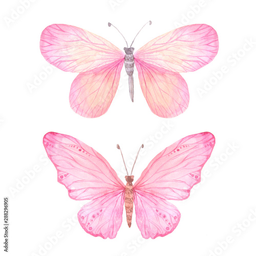 Watercolor pink butterflies set © lisagerrard99