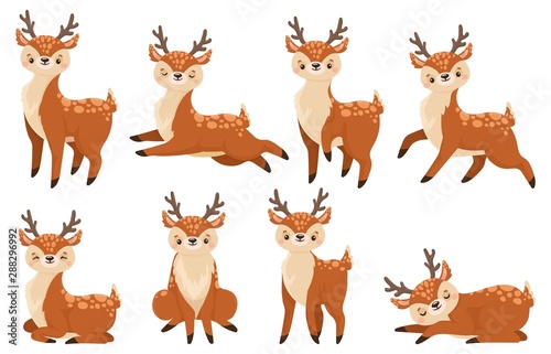 Fototapeta Naklejka Na Ścianę i Meble -  Cute cartoon deer. Running reindeer, wildlife fawn and deers child. Xmas reindeer character or wildlife forest deer mammal. Isolated vector illustration icons set