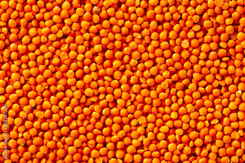 Macro flatlay image of red lentil beans background. Concept of healthy vegan lifestyle