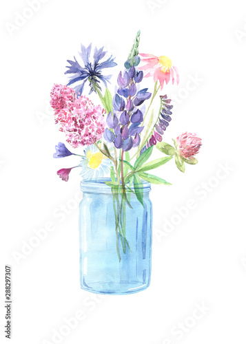 Watercolor hand painted wildflowers, field plants