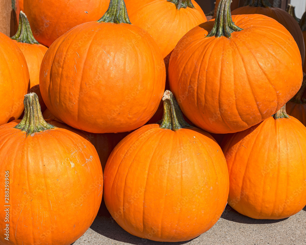 Stacked punmpkins Stacked punmpkins
