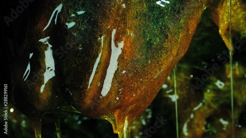 Disgusting Alien Organism Dripping Slime