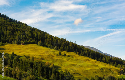 meadows and woods panorama on the mountains in Austrian Alps  Serfaus-Fiss-Ladis  Austrian Tyrol 