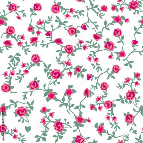 Romantic roses garden.