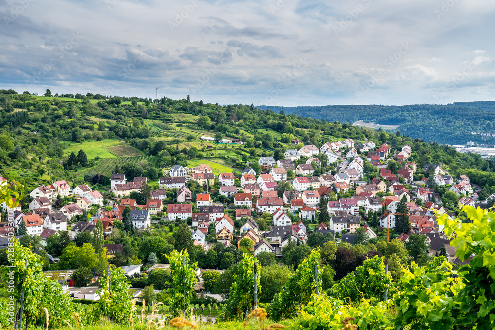Germany, Stuttgart city district uhlbach, a small village in green nature landscape surrounded by vineyards and forested hills