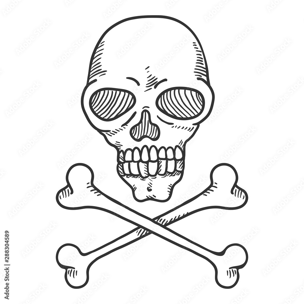 Vector Hand Drawn Sketch Skull and Crossbones. Vector Hand Drawn Sketch Skull and Crossbones.