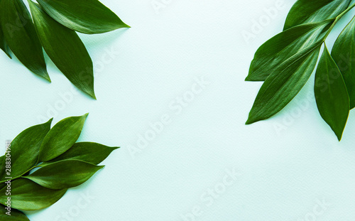 Green leaves on green background