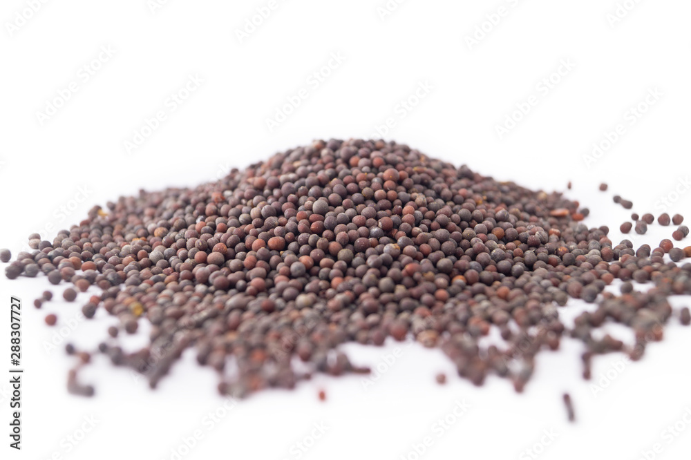 MUSTARD ON WHITE BACKGROUND MUSTARD ON WHITE BACKGROUND