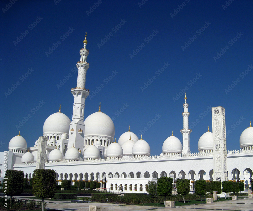 Fototapeta premium sheikh zayed mosque in abu dhabi