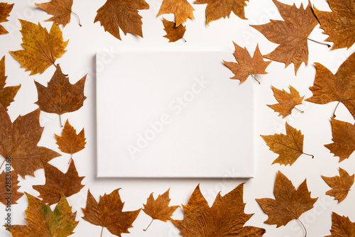 Background with colorful autumn leaves and place for text