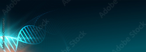 wide dna structure banner for medical science