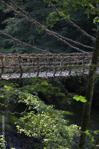 祖谷のかずら橋 (徳島)