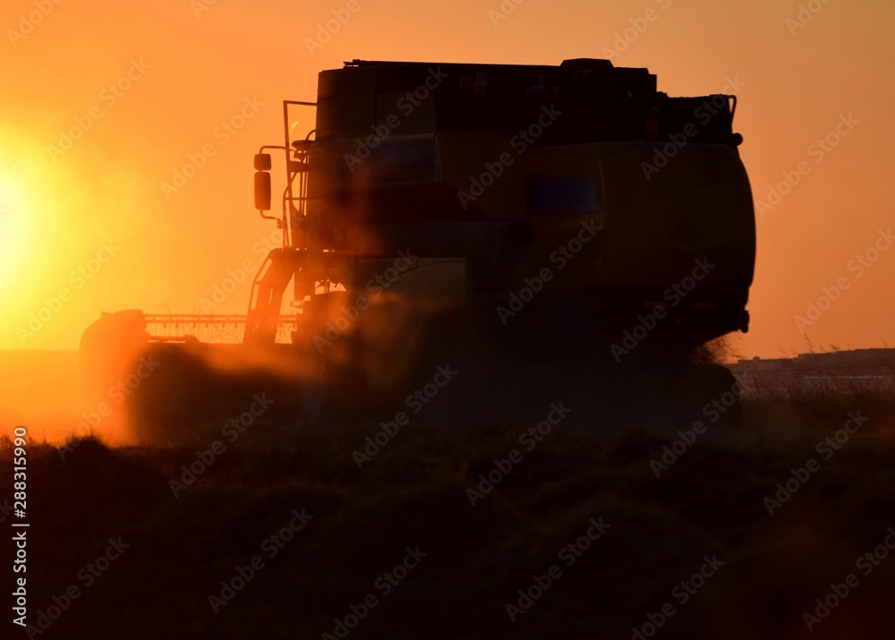 sunset in desert