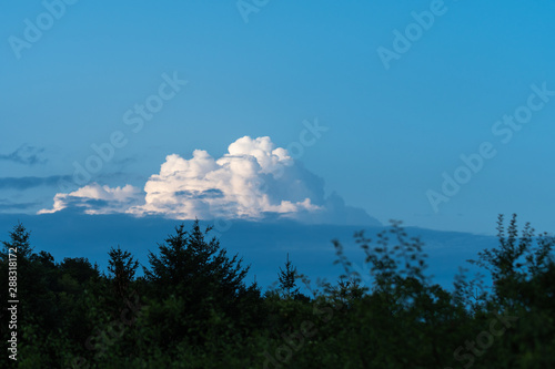 Landscape with trees and blue sky. White clouds and blue skies. Trees and blue sky