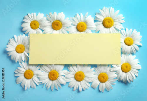 Flat lay composition with beautiful chamomile flowers and blank card on blue background, space for text © New Africa