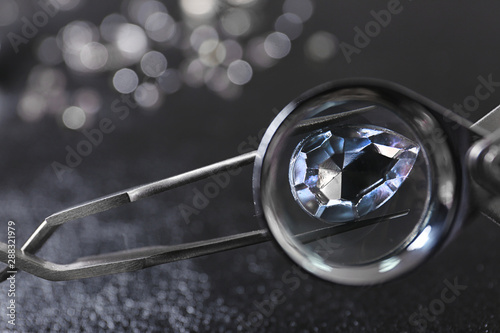 Tweezers with precious jewe...