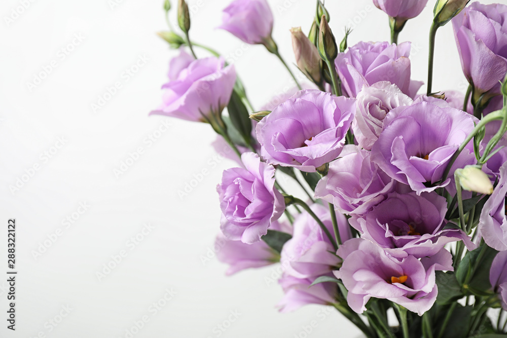 Beautiful Eustoma flowers on white background, closeup