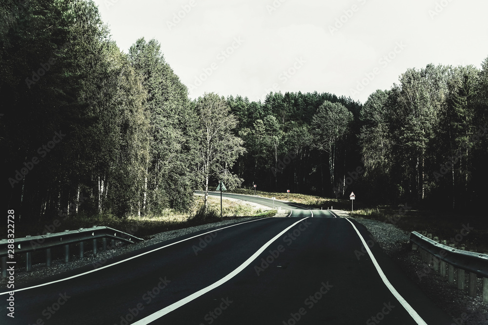 Obraz premium Road in the forest turns road signs