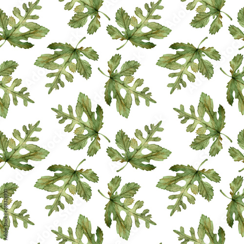 Pattern of watercolor green autumn leaves on white background.
