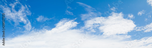 Fototapeta Naklejka Na Ścianę i Meble -  panoramic blue sky and clear cloud  in summertime beautiful background