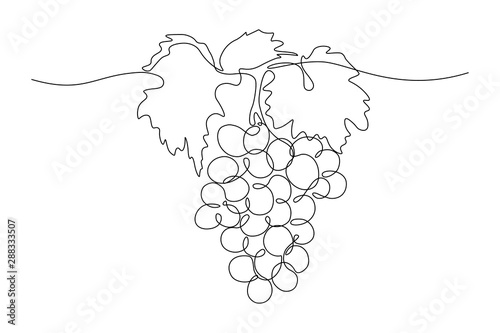 Fotografie, Obraz Grapes in continuous line art drawing style
