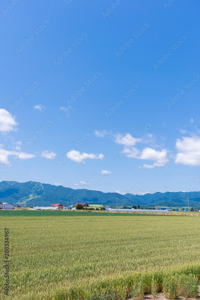 北海道富良野 穀倉地帯を行く