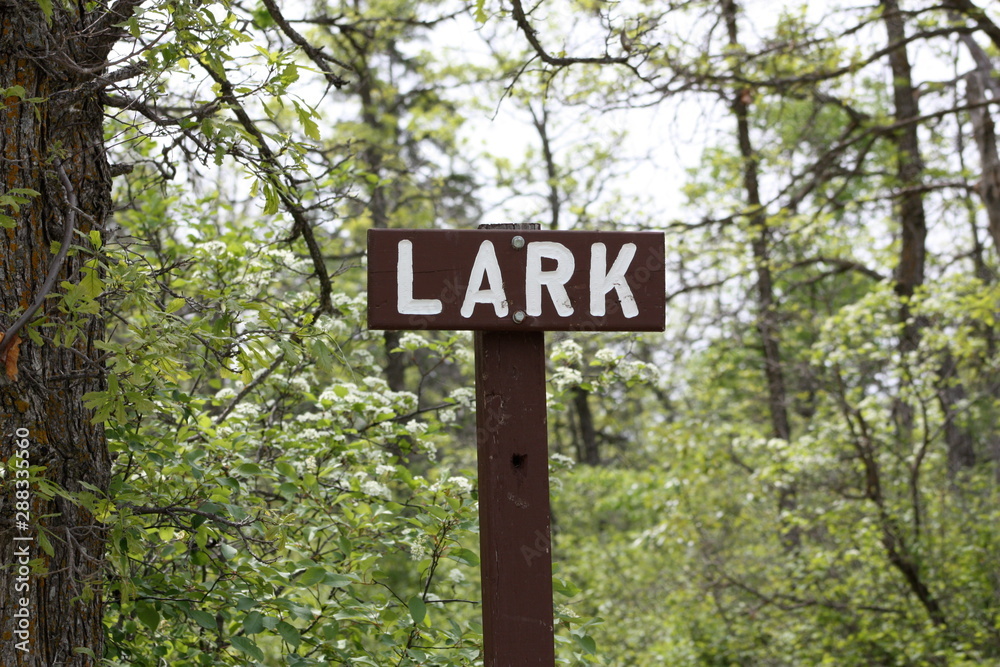 Lark Sign