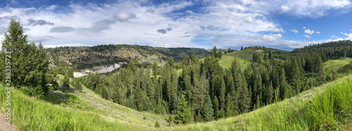 Yellowstone mountains and trees, USA