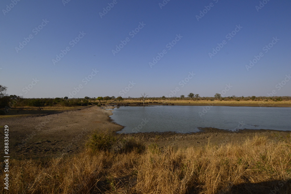 KRUGER NATIONAL PARK SUDAFRICA
