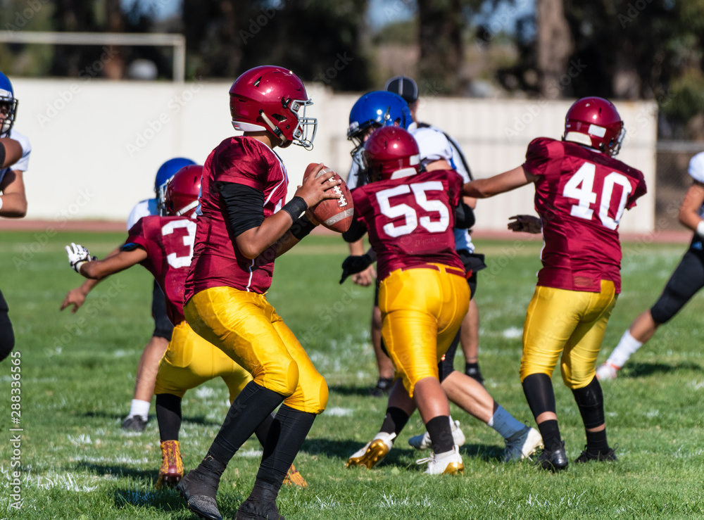Football quaterback in red and gold uniform reading the defense from the protection of the pocket created by offensive line during pass play. Football quaterback in red and gold uniform reading the defense from the protection of the pocket created by offensive line during pass play.