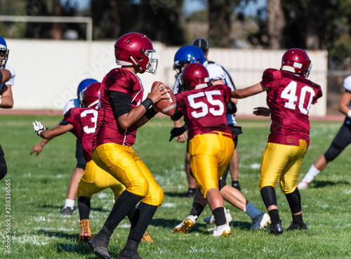 Football quaterback in red and gold uniform reading the defense from the protection of the pocket created by offensive line during pass play.