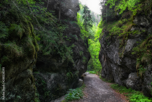 Rock formation in Gaderska valley, Slovakia photo