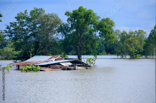 House with flood,Flooding of rice in the Thai countryside,Natural disaster background