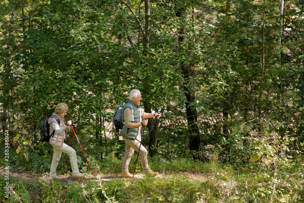 Senior couple in activewear walking down forest path with trekking sticks