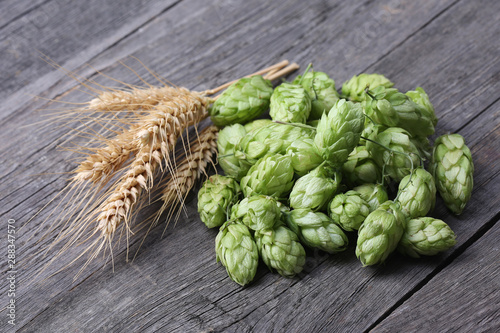 Hops cones and ears of wheat on wood background